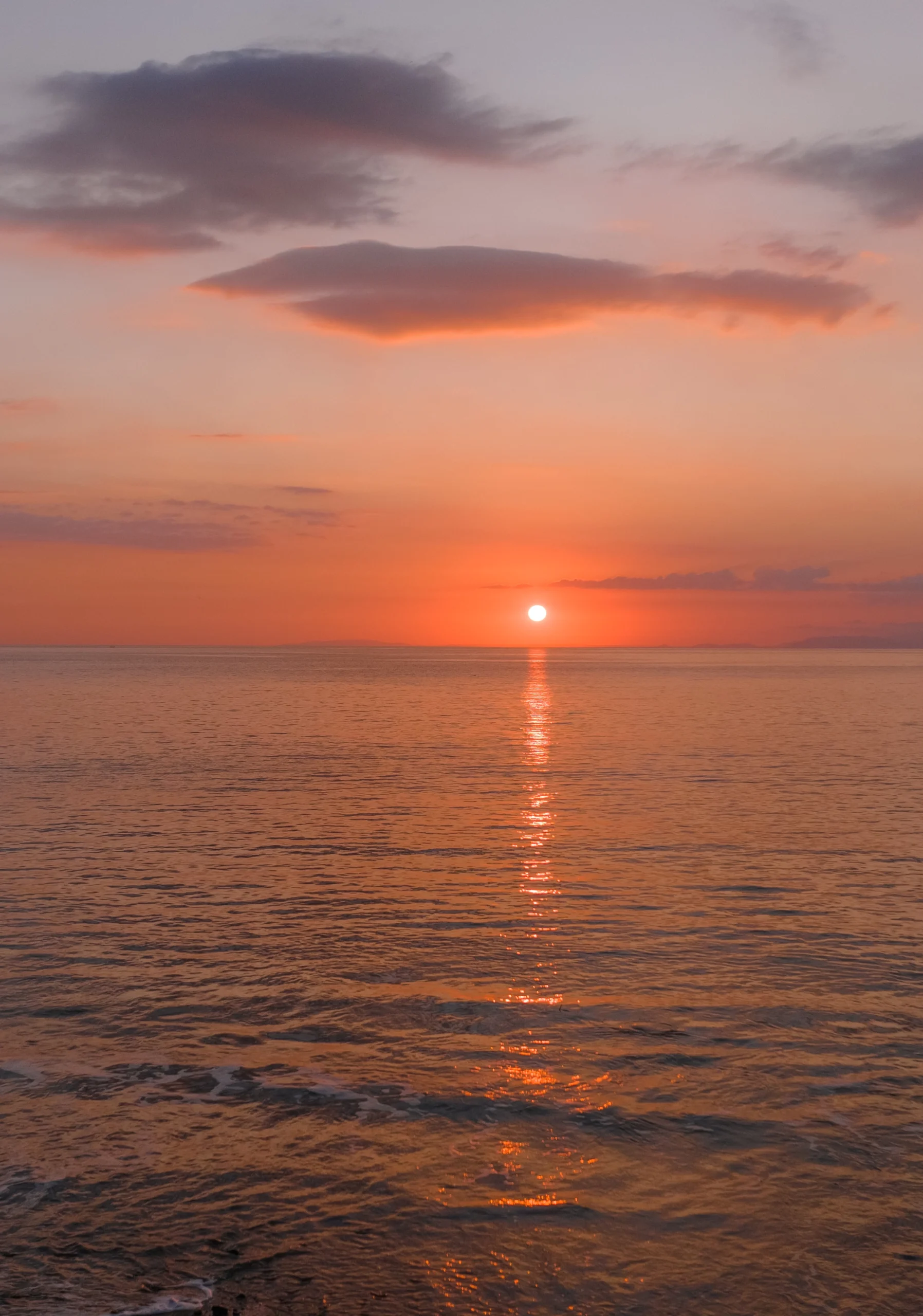 DJI_20260218174901_0174_D